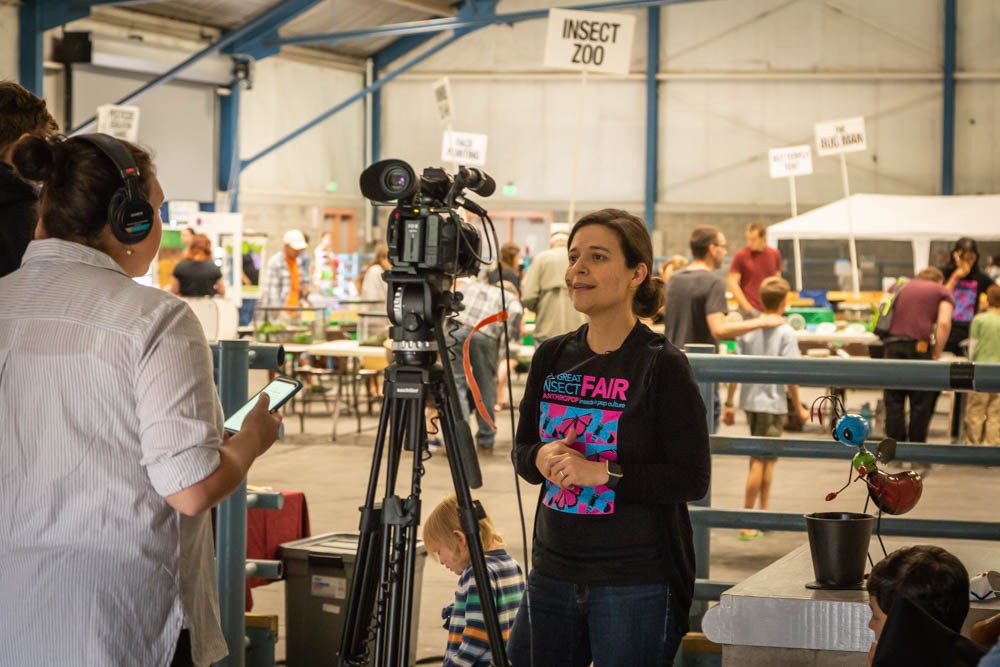 Fair coordinator, Assistant Professor of Entomology Margarita López-Uribe, gives her interview at the 2018 Great Insect Fair