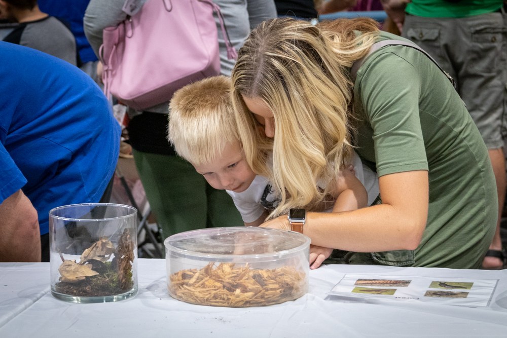 A mother and son enjoy the displays at the annual Great Insect Fair