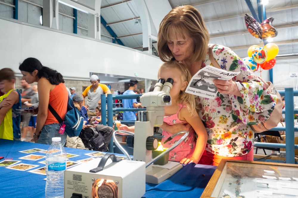 2019 Great Insect Fair