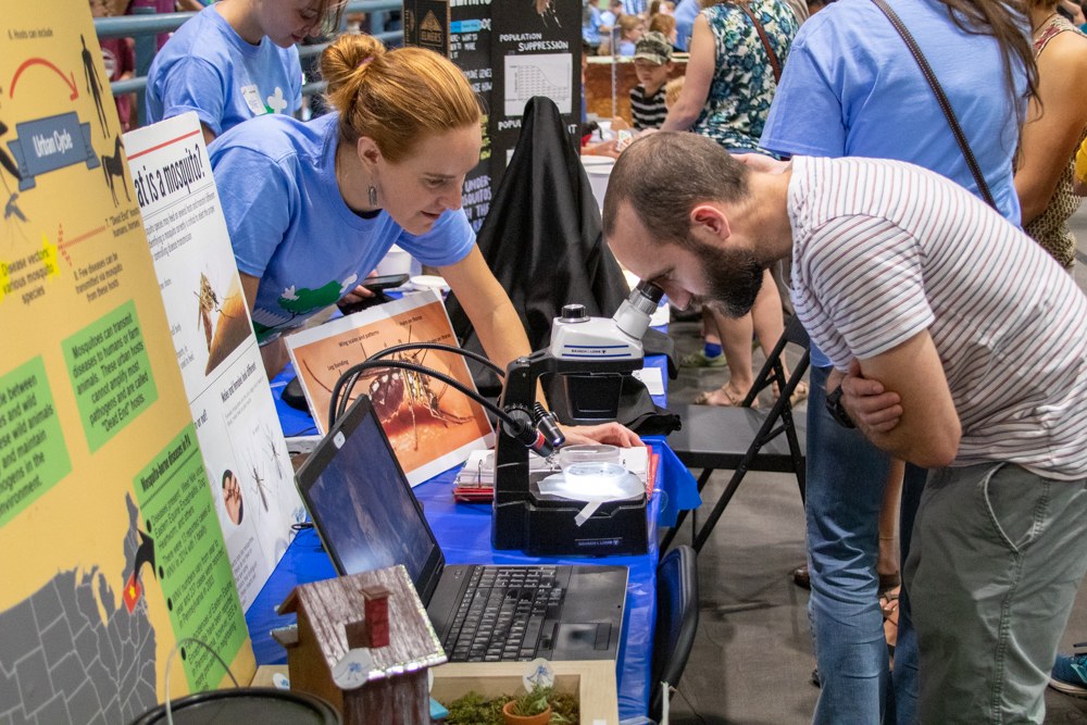 2019 Great Insect Fair