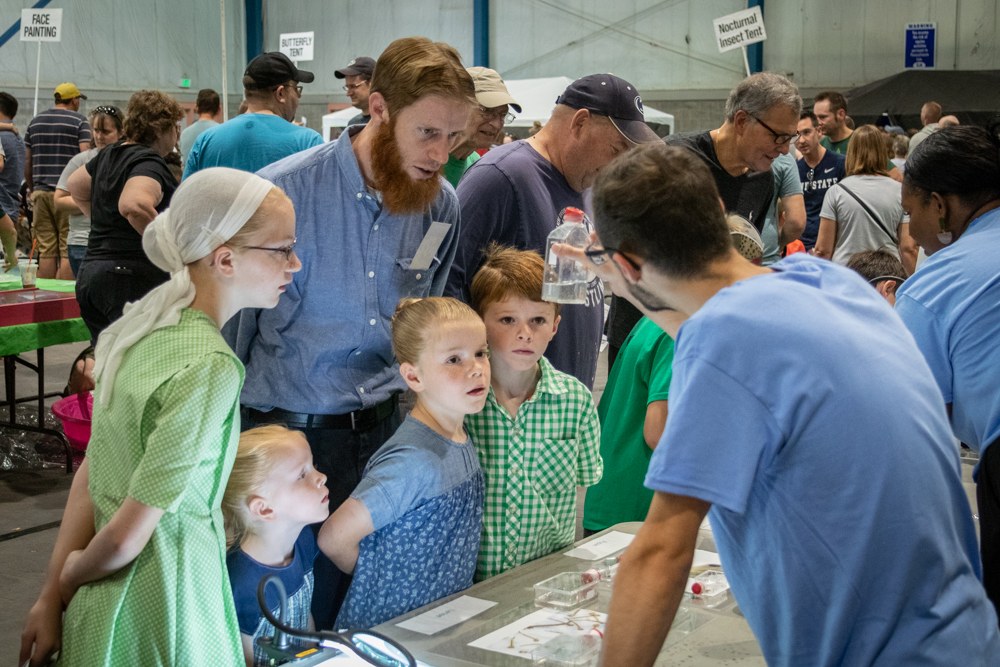 2019 Great Insect Fair