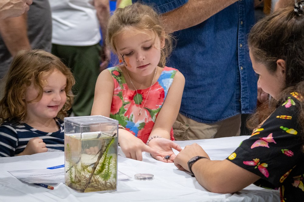 2019 Great Insect Fair