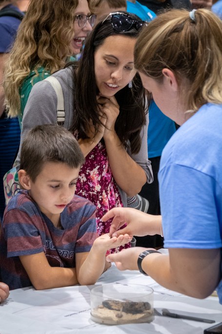 2019 Great Insect Fair