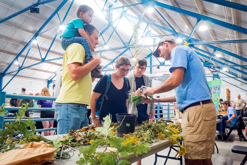 2019 Great Insect Fair