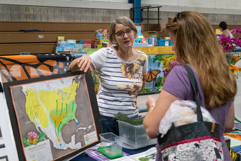 2019 Great Insect Fair