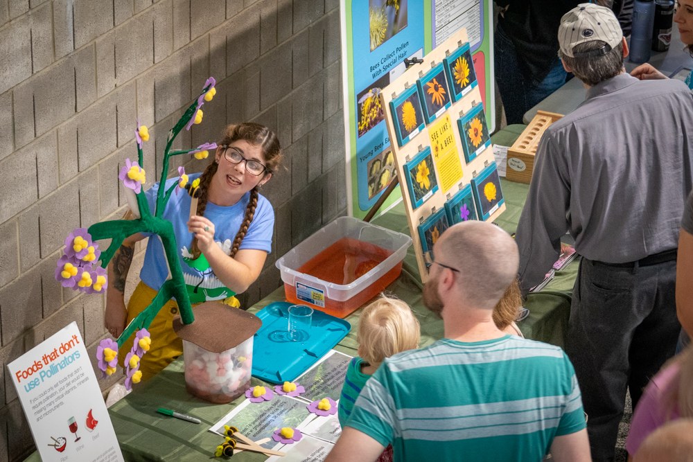 2019 Great Insect Fair