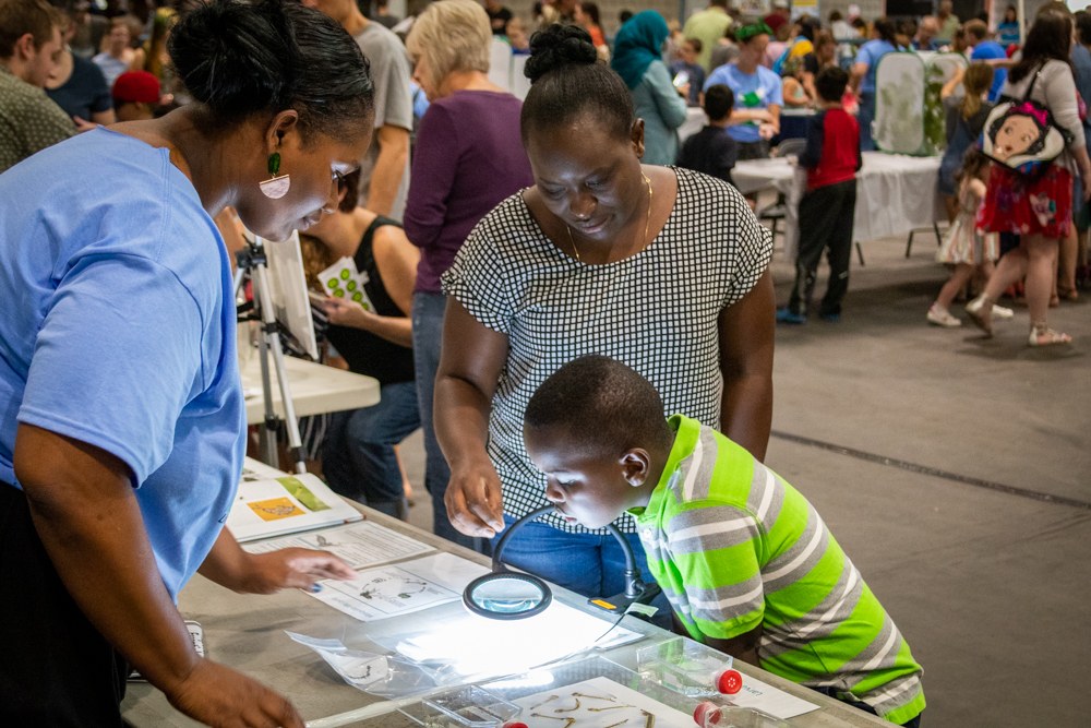 2019 Great Insect Fair