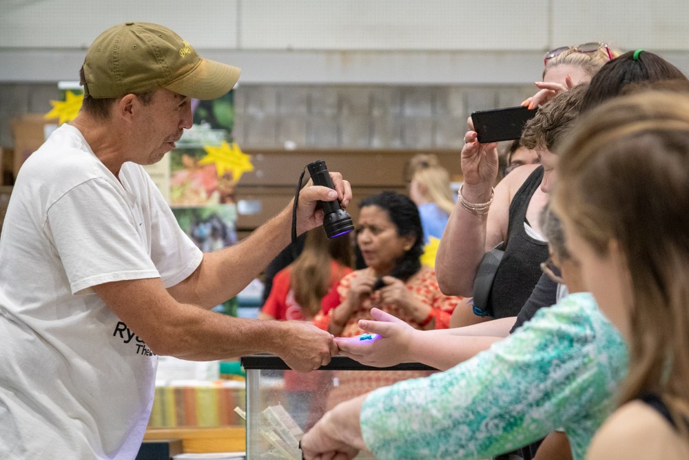 2019 Great Insect Fair