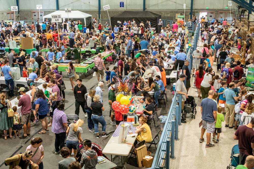 2019 Great Insect Fair