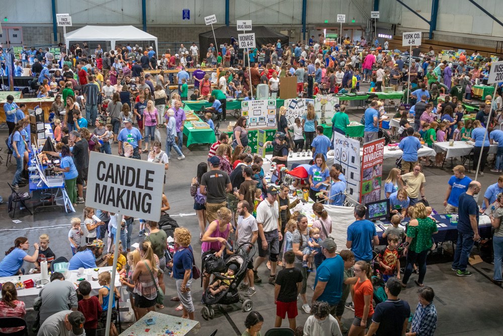 2019 Great Insect Fair