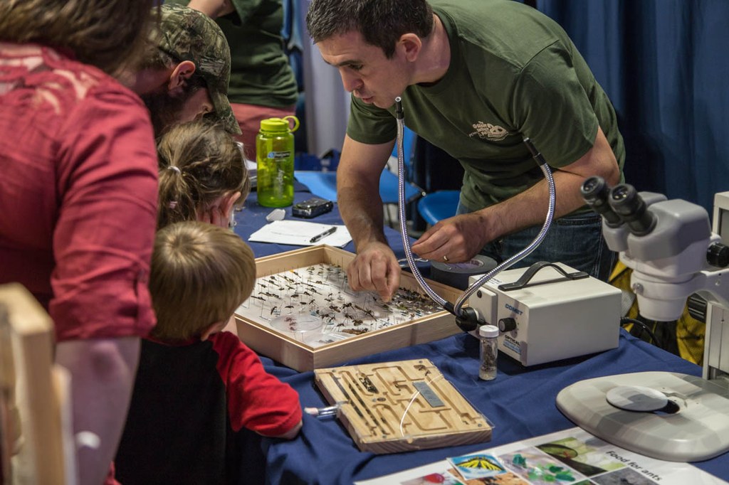Photographs from the Great Insect Fair