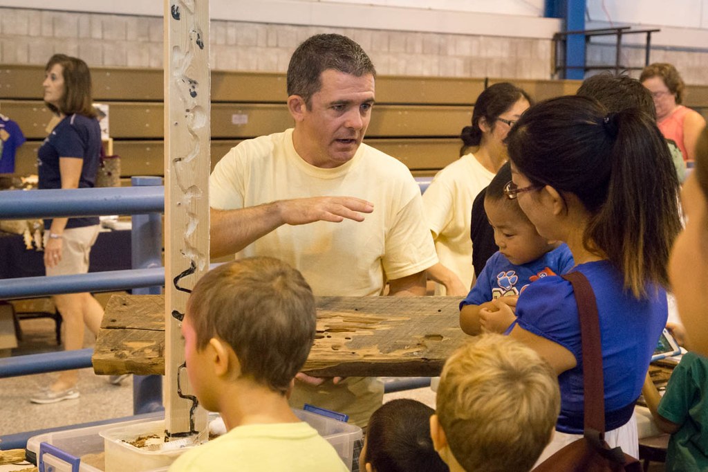 Photographs from the Great Insect Fair
