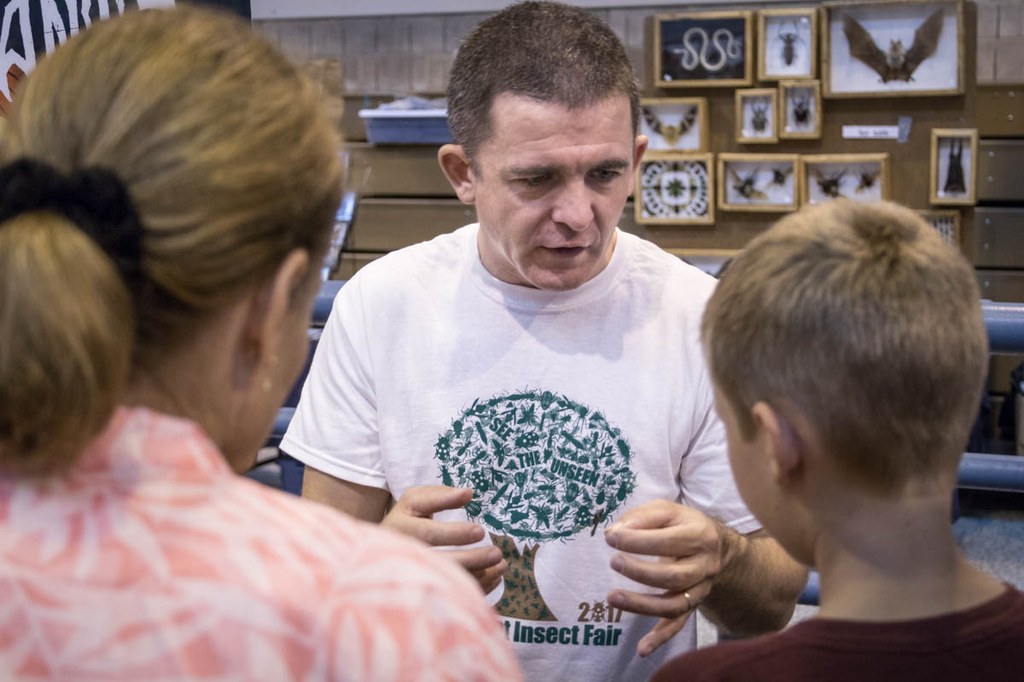 Photographs from the Great Insect Fair
