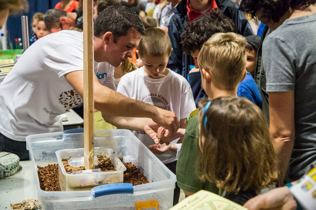 Photographs from the Great Insect Fair