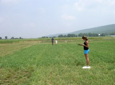 Amber & Andrew: IPM in action!