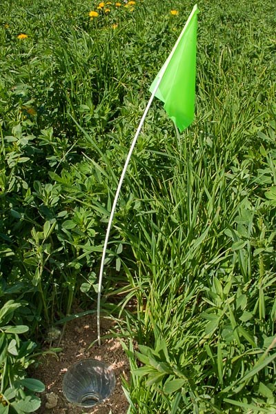 Pitfall trap 2