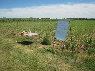 Much of our work is farmer driven; here is a typical field day setting at Penn State's research farm in Lancaster County where we share with the agricultural community what we are learning. 