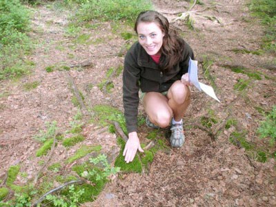 I am interested in the chemical ecology of plant-insect interactions, and especially how plants defend themselves against insect herbivores. The main goals of my research are to investigate how plants use olfactory cues to predict impeding herbivore attack and to elucidate the molecular mechanisms of plant olfaction and priming of defenses, both of which remain poorly understood.